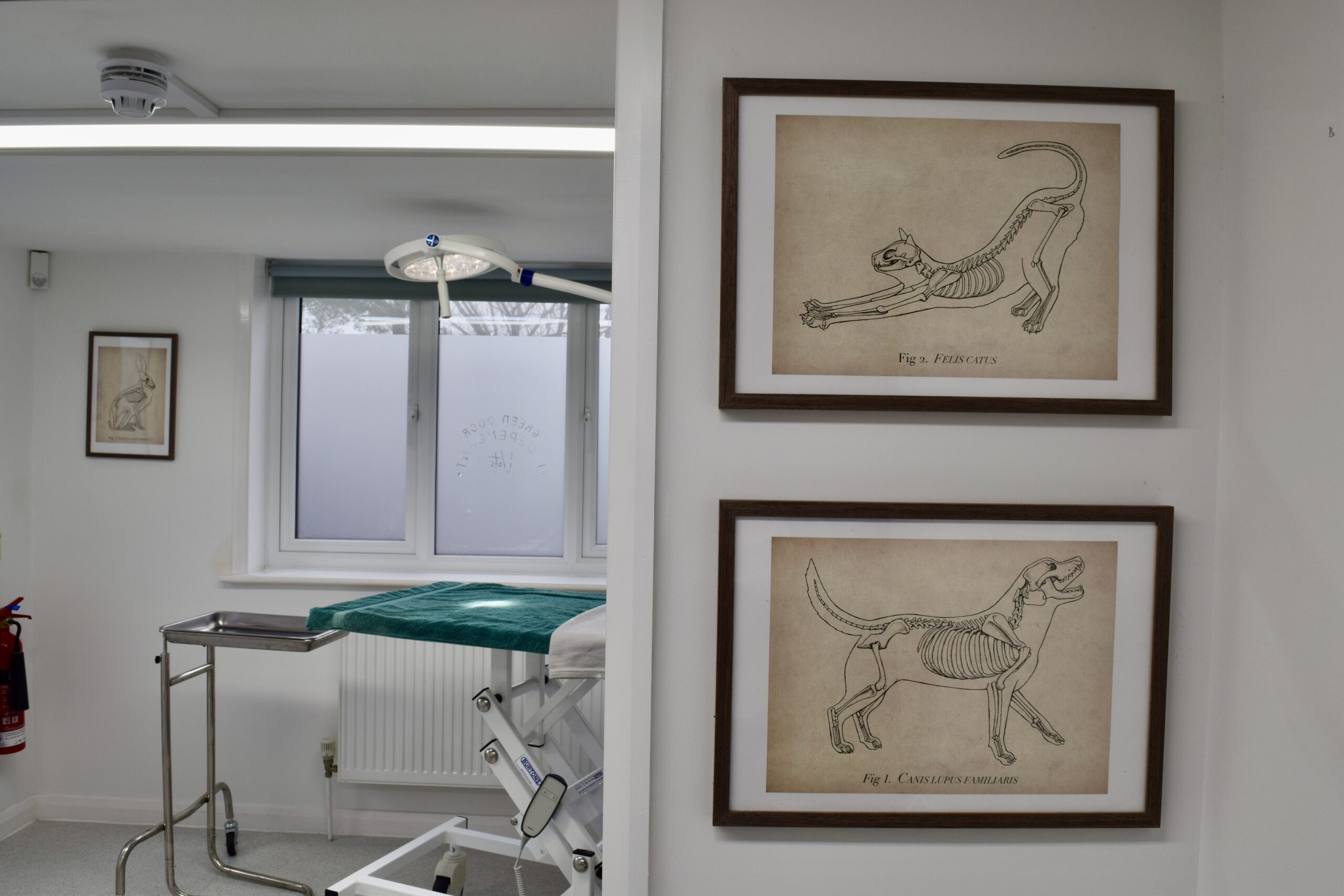 Surgery Entrace