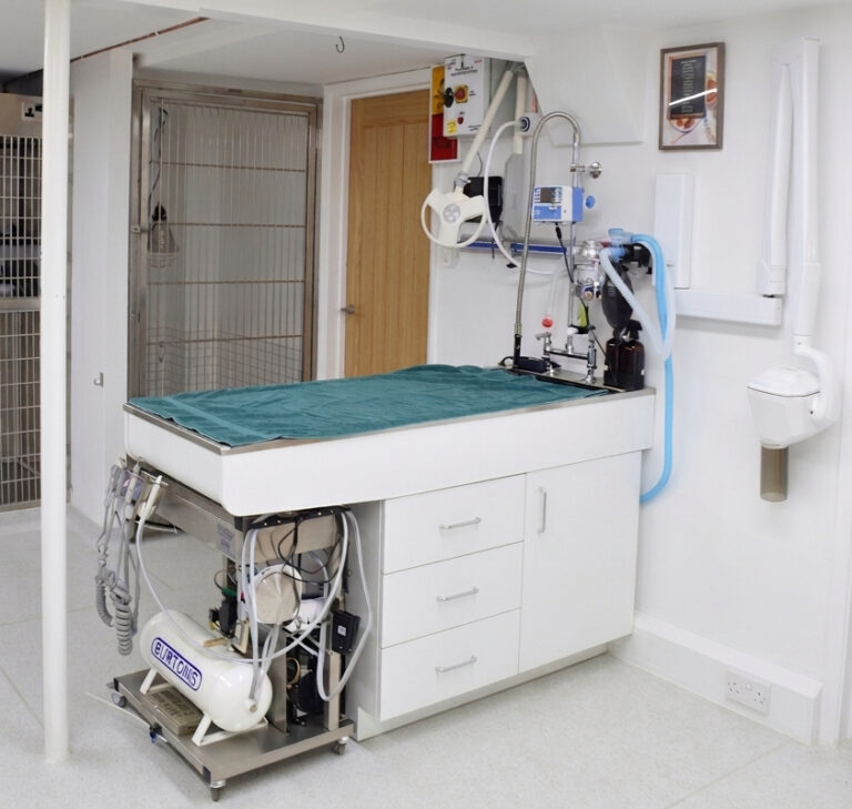 Dental Suite